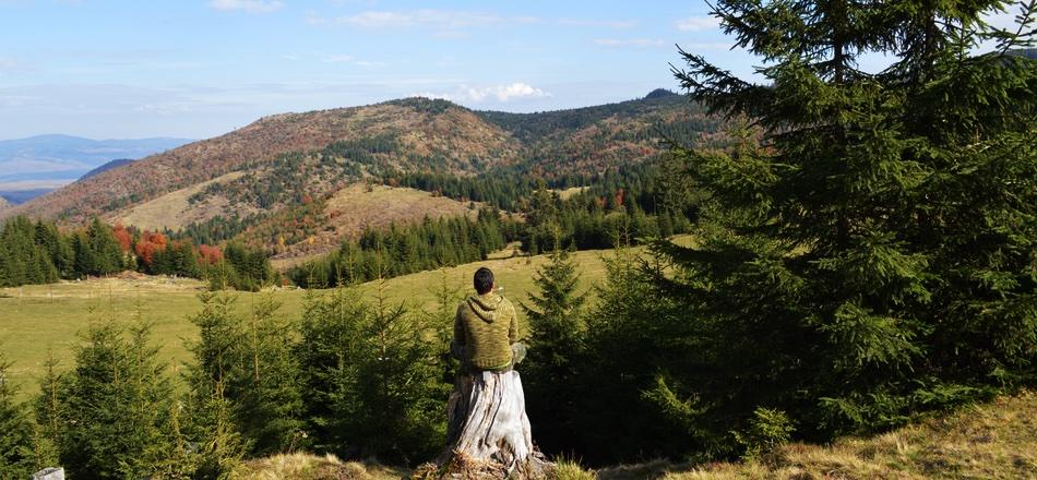 uomo seduto nella natura