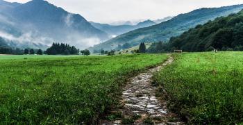 A path out into the wilderness